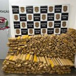 maconha apreendida-compressed