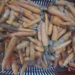 merenda estragada-compressed