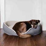 pexels-andrew-neel-2248516-compressed