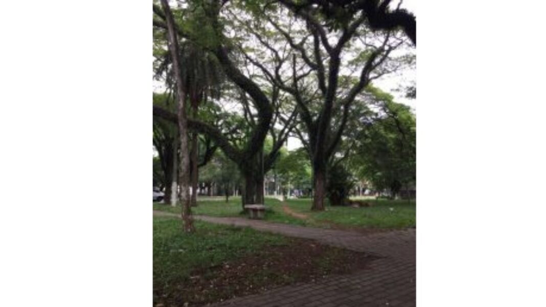 Praça Ernani Braga